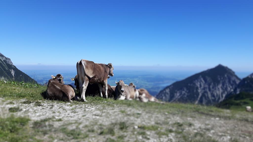 Hotel Pfeiffermuehle Wertach Eksteriør billede